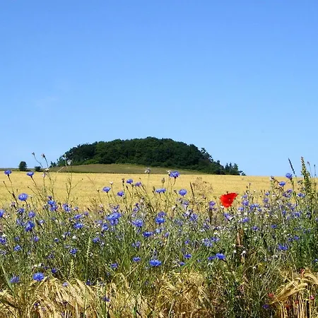 Mit Traumhaftem Meerblick - Haus Am 04 Appartement *